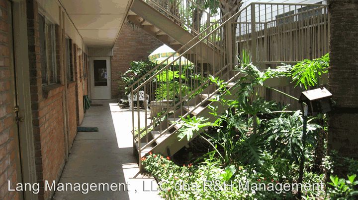 2201 Driscoll Apartments in Neartown Montrose, Houston, TX 77019 Zumper