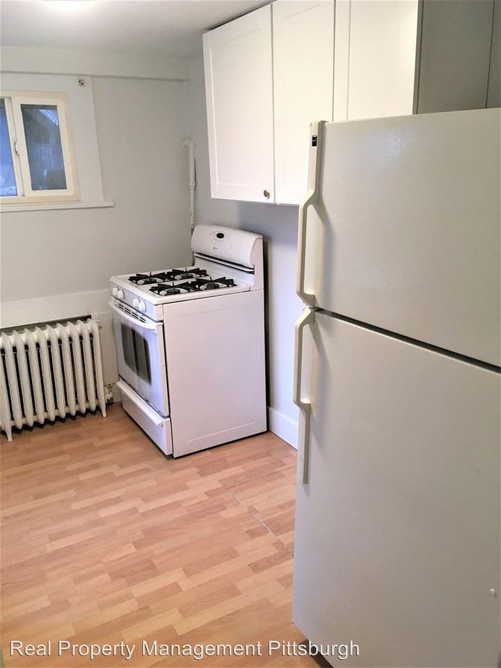 The cheapest apartment rentals for rent in Squirrel Hill South,