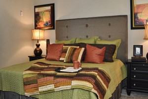 Villas at Hermann Park Apartments 6301 Almeda Rd, Houston, TX 77021