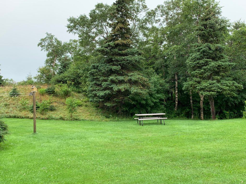 54 Charter Ave Apartments in Pleasantville, St. John's, NL A1A 3S5 Zumper