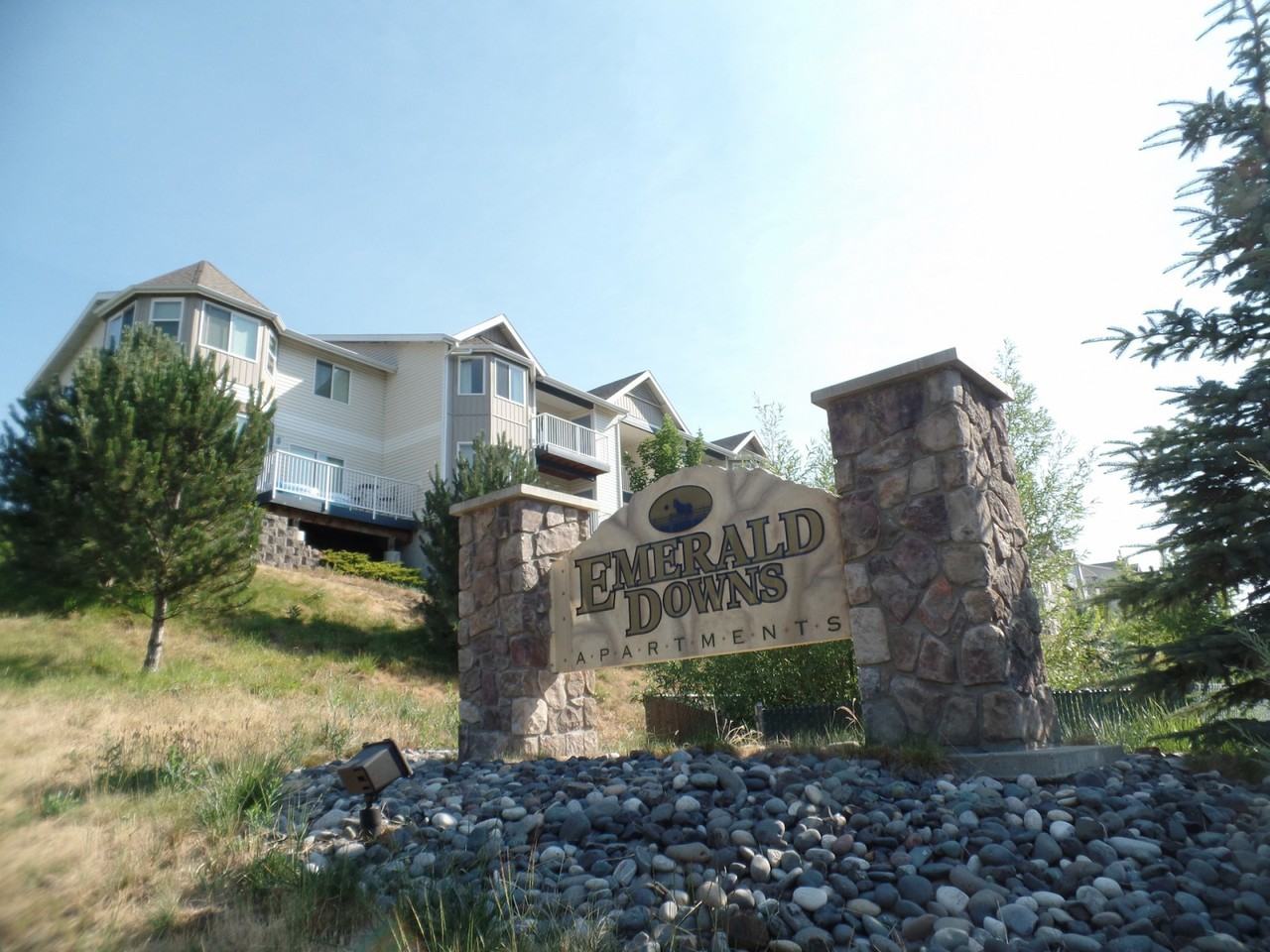 Emerald Downs Apartments 910 Ne Providence Ct, Pullman, WA 99163 Zumper