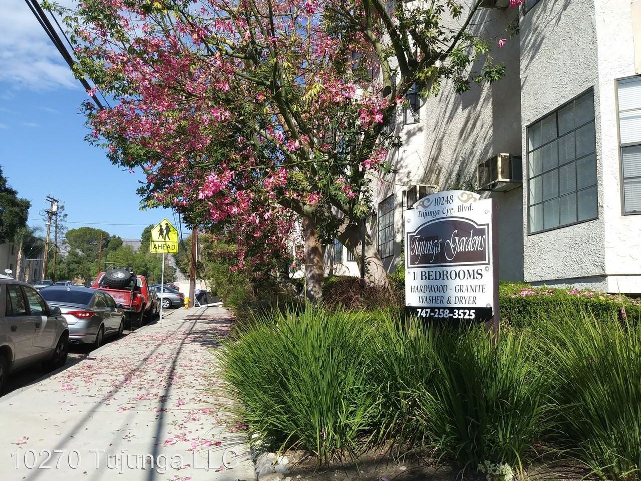 10248 Tujunga Canyon Blvd. Apartments for Rent in SunlandTujunga, Los