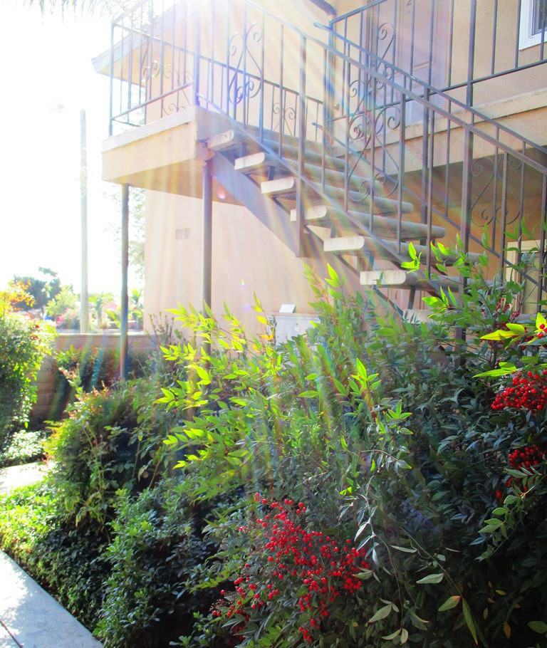Canyon Garden Apartments 1181 E Hollyvale St, Azusa, CA 91702 Zumper