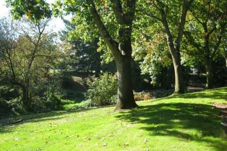 Timber Creek Village Apartments 30195 Sw Brown Rd, Wilsonville, OR