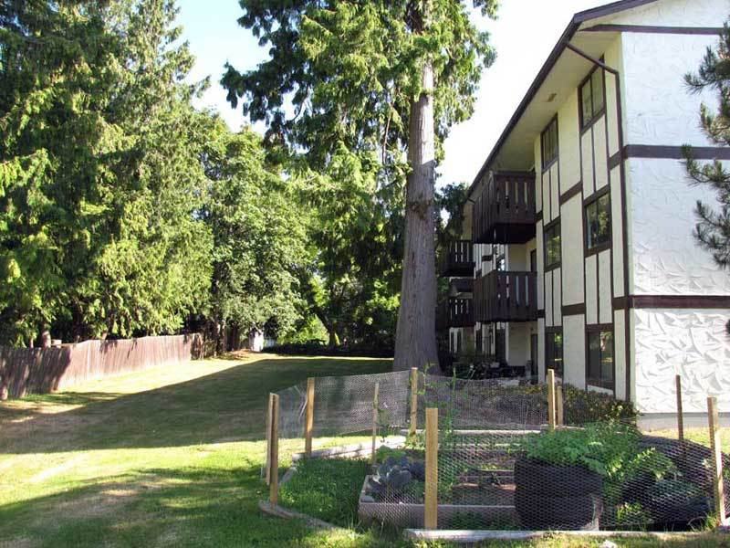 Pacific Manor Apartments 169 Moilliet St S, Parksville, BC V9P 1N2 Zumper