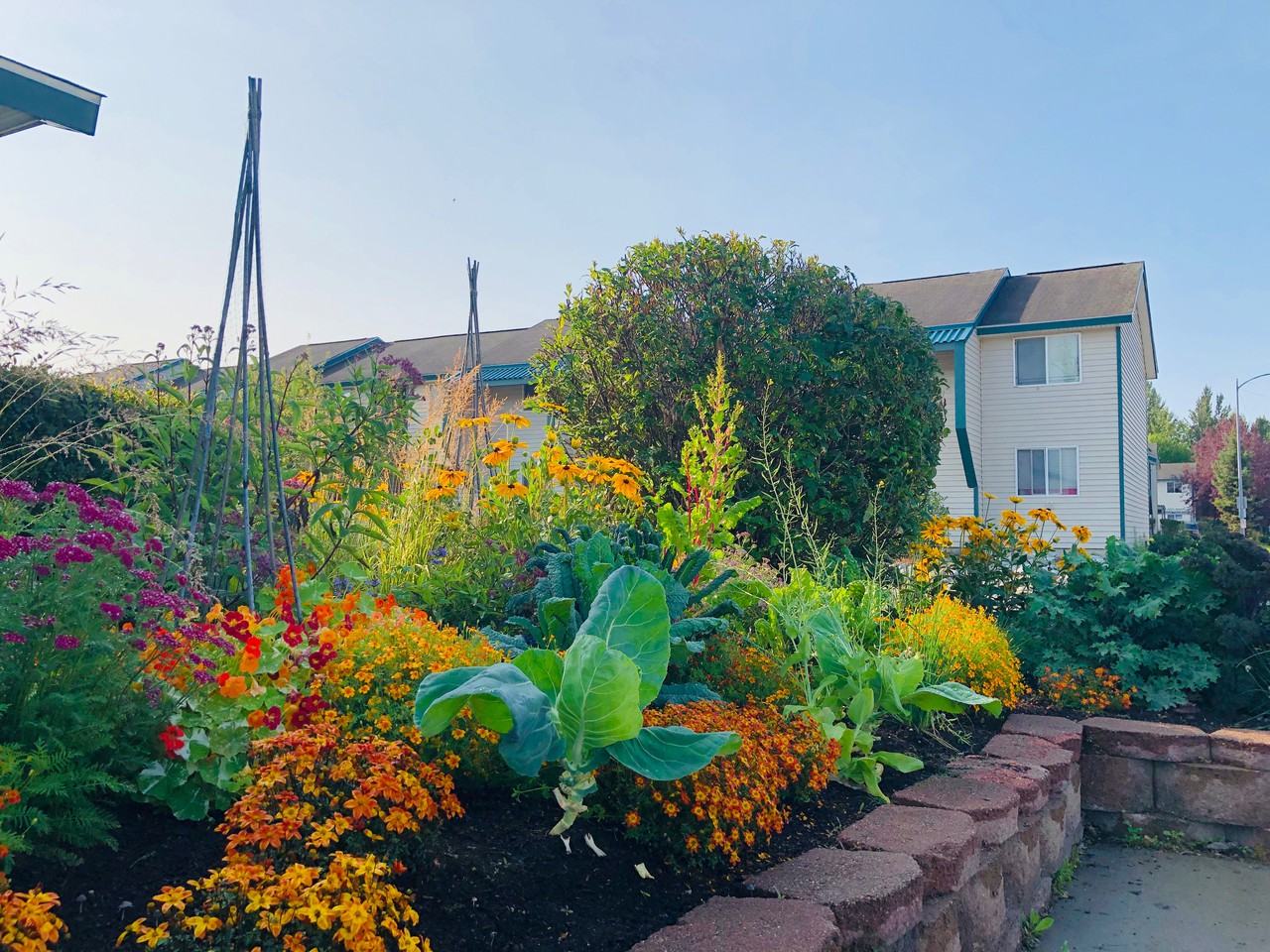 Chester Park Estates Apartments 1019 East 20th Avenue, Anchorage, AK