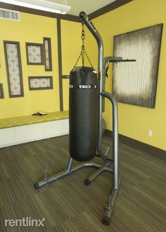 S. Gessner Westheimer Apartments in Woodlake Briar Meadow, Houston