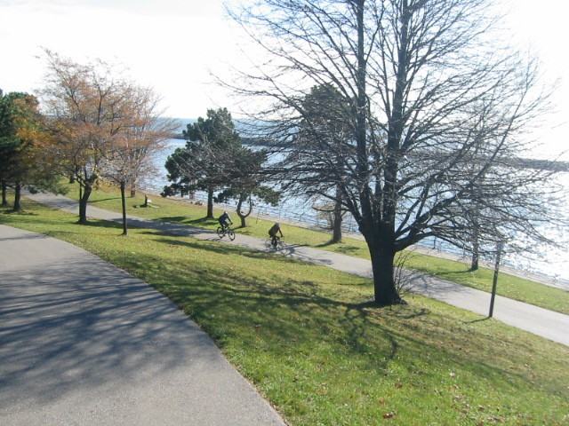 110 Jameson Avenue Apartments in Parkdale, Toronto, ON M6K 2X9 Zumper