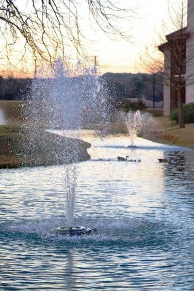 The Landmark Apartments 144 Landa St, New Braunfels, TX 78130 Zumper