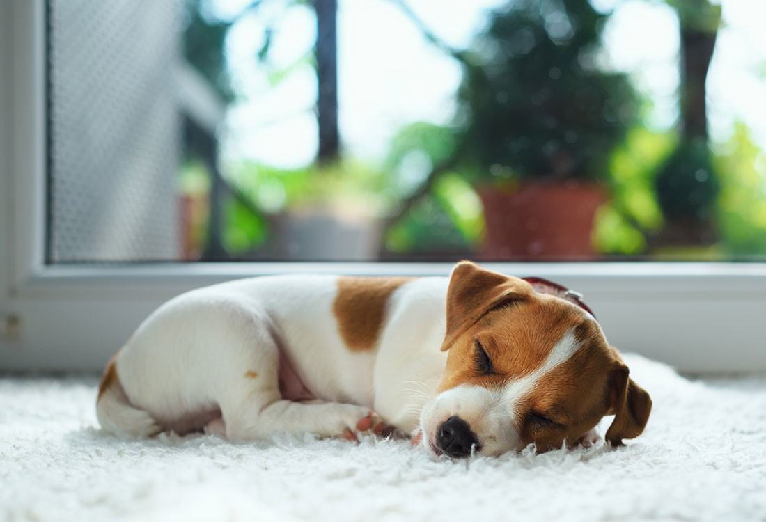 Gala at Texas Parkway Apartments 3102 Texas Pkwy, Missouri City, TX