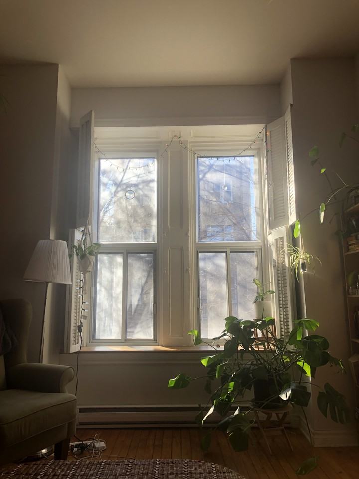 Hutchison Loft Apartments 3495 Rue Hutchison A, Montréal, QC H2X 2G1 Zumper