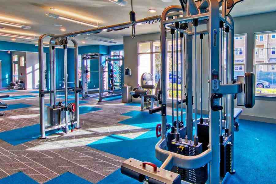 The Lotus at Starkey Ranch Apartments 1470 Long Spur, Odessa, FL