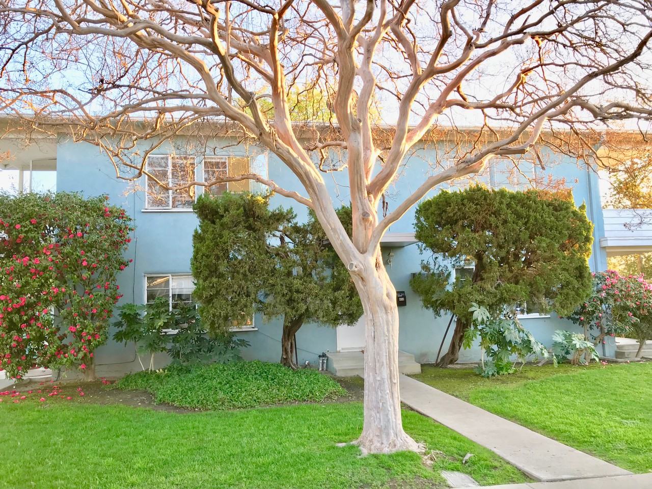 Grinnell Street Apartments Grinnell Dr, Claremont, CA 91711 Zumper