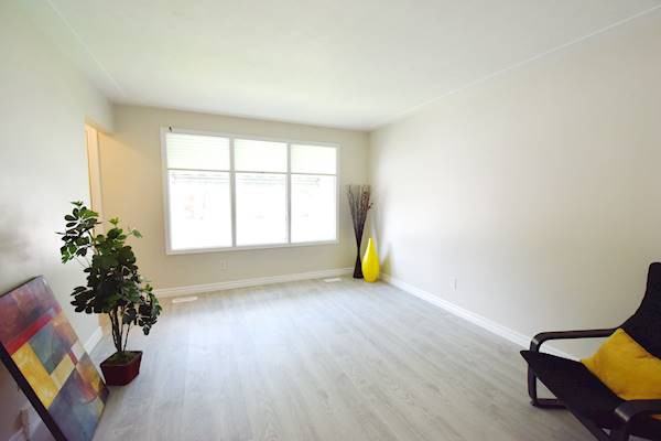 Bright & Just Renovated 2 Bedroom Apartment in Kitchener! Apartments