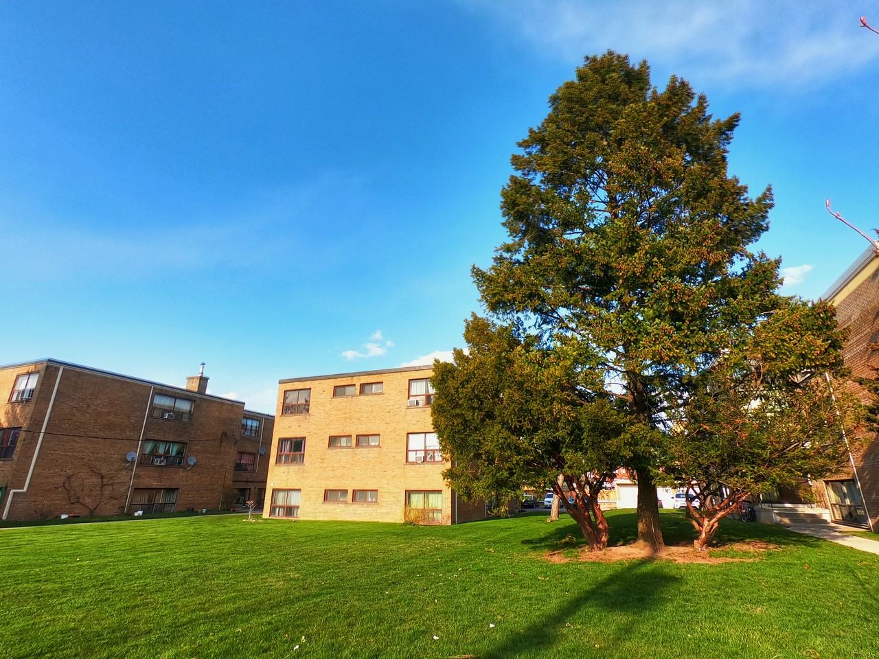 Rosseau Apartments 11 Rosseau Rd, Toronto, ON M3H 3G1 Zumper