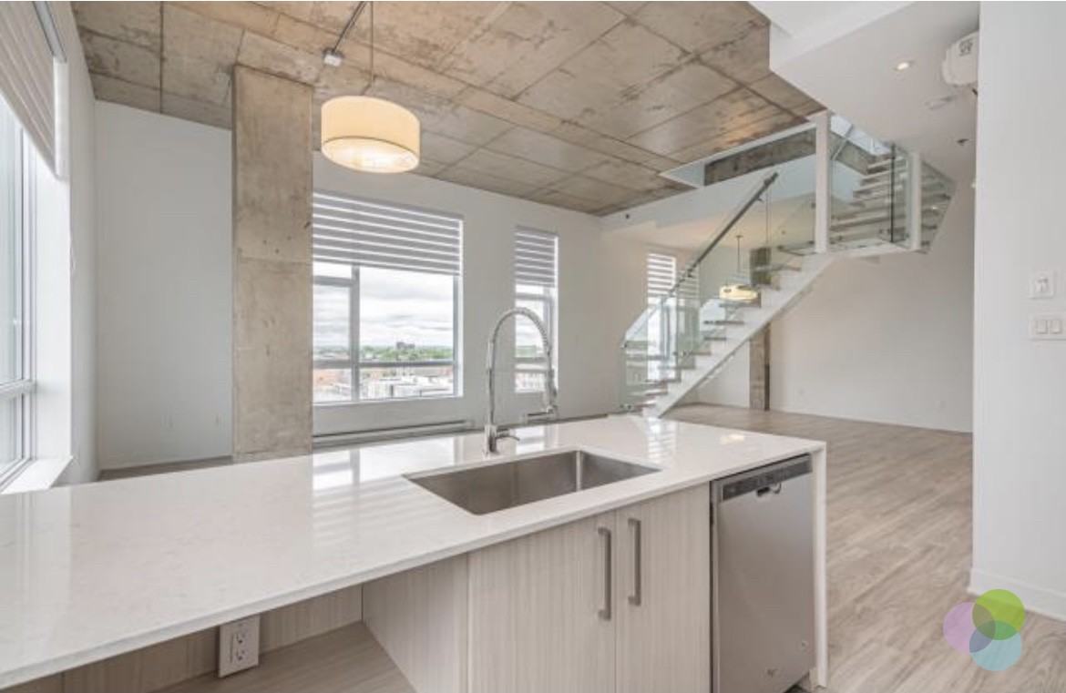 Pet Friendly Apartments for Rent in Montréal, QC Search for 371 Dog