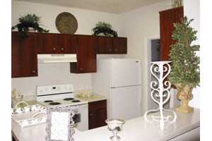 Vistas at Pinnacle Park Apartments 4599 W Davis St, Dallas, TX 75211