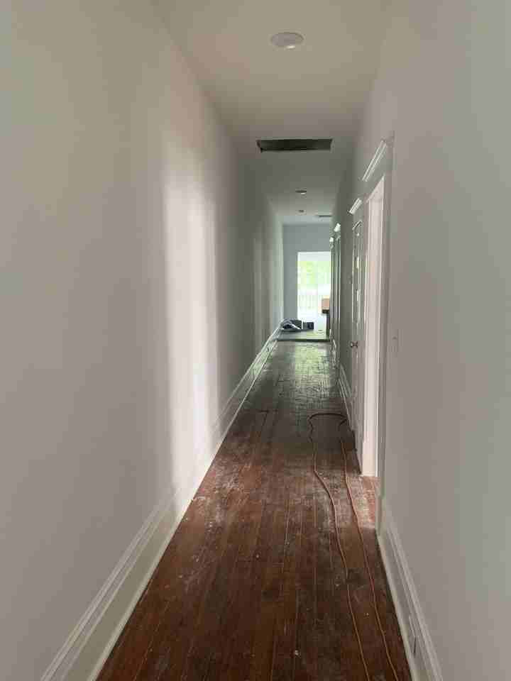 119 Ashley Avenue Apartments in Harleston Village, Charleston, SC 29401