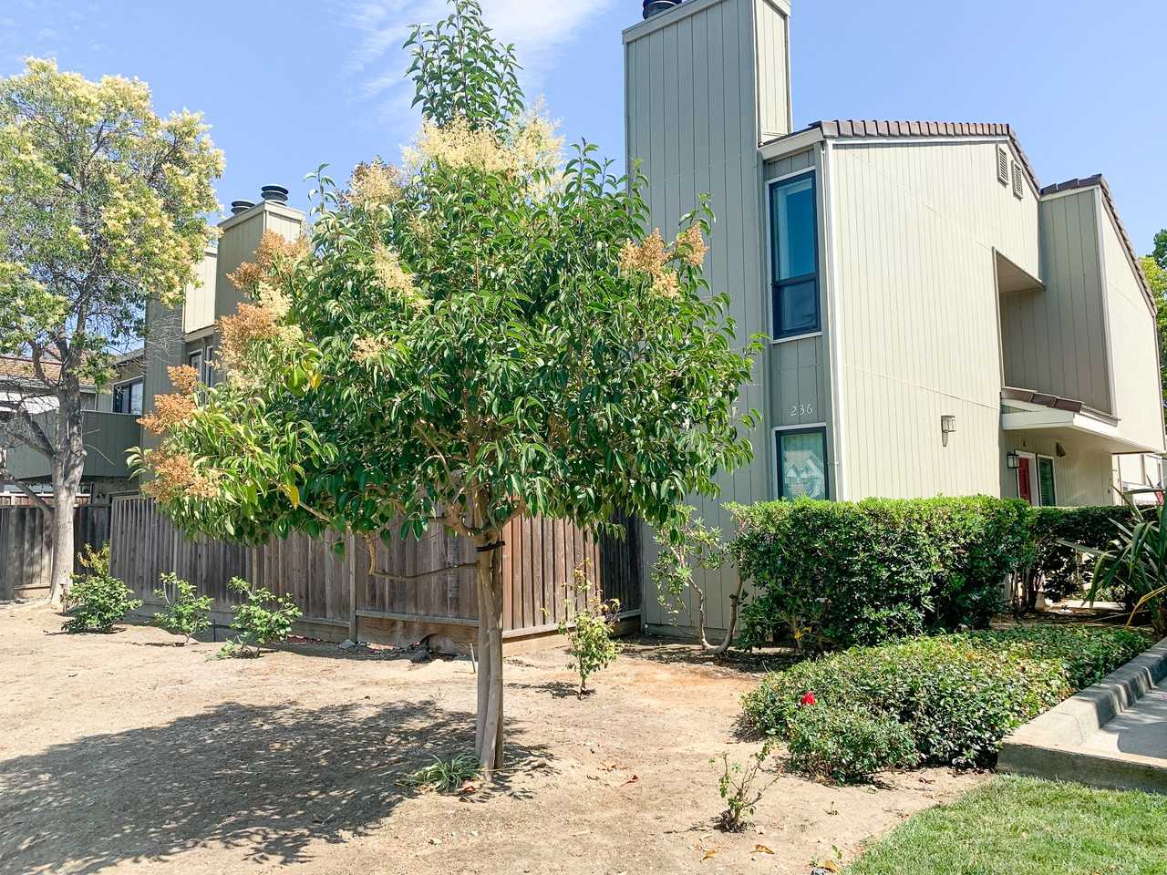 236 W Rincon Ave, Campbell, CA 95008, USA 2 unit Rentals Zumper