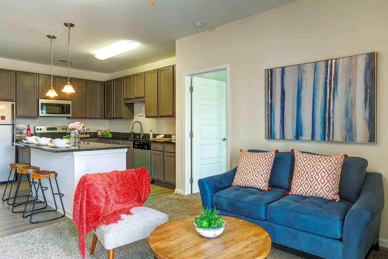 Apartments for Rent In Asheville, NC Find 134 Condos & Other Rentals