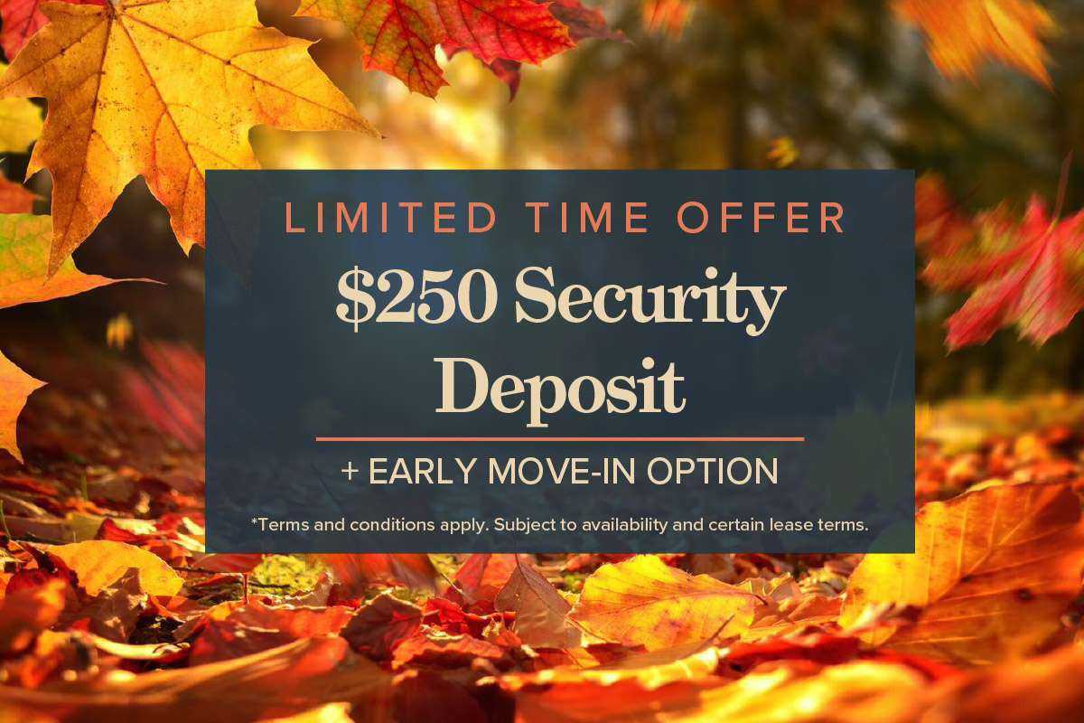 Cedar Ridge Apartments 135 Lynnview Rd Se, Calgary, AB T2C 2G6 Zumper