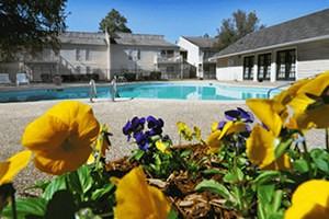 Shandon Crossing Apartments 504 S Beltline Blvd, Columbia, SC 29205