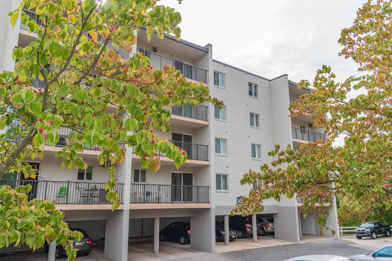 Gladstone Towers Apartments 223 Scottdale Rd, Lansdowne, PA 19050