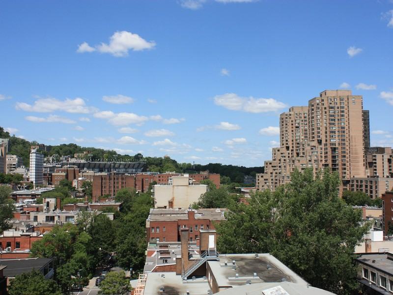 Le Durocher Apartments 3455 Rue Durocher, Montréal, QC H2X 2C9 Zumper