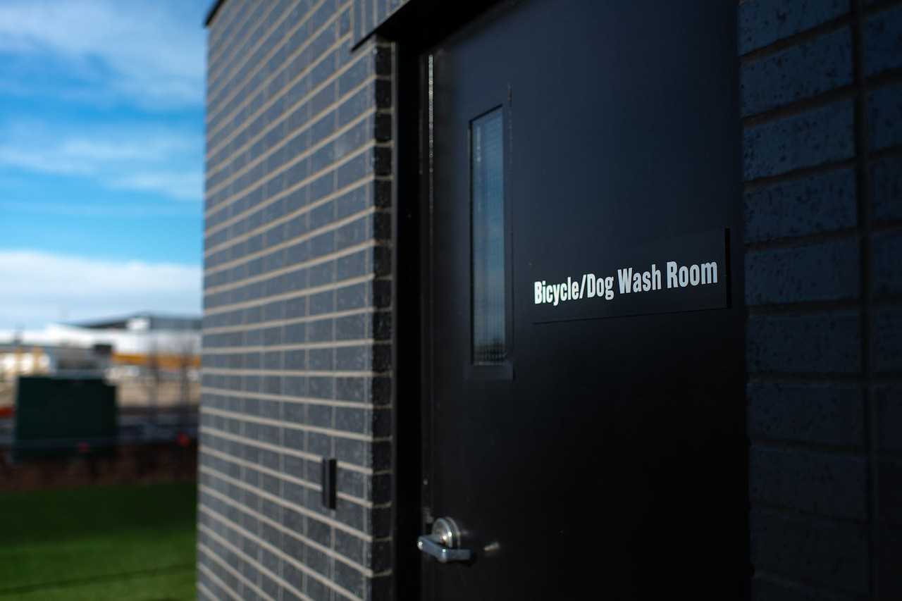 Pet Friendly Apartments For Rent In Downtown Edmonton 10954 84 St Nw