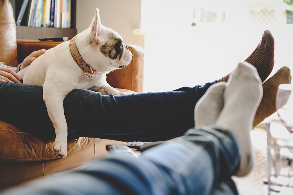 Rockhill Apartments 4858 4858 chemin de la CôtedesNeiges, Montréal