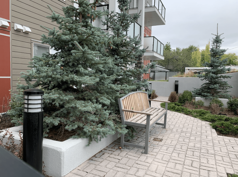 The Delaney Apartments 851 17 Ave Nw, Calgary, AB T2M 0P1 Zumper