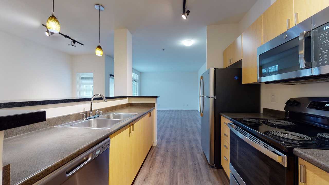 Apartments for Rent in Belltown, Seattle, WA 242 Rentals Zumper