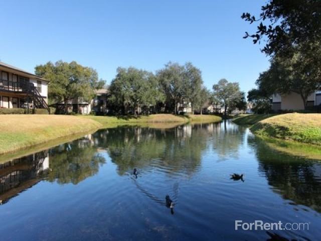 Swan Lake Apartments 3401 N Lakeview Dr, Tampa, FL 33618 Zumper