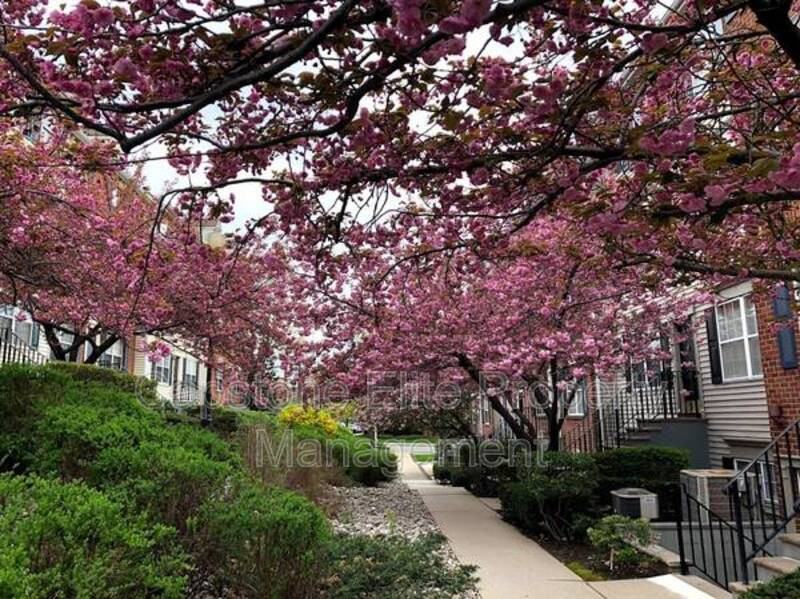 Society Hill Apartments in Springfield Belmont, Newark, NJ 07103 Zumper