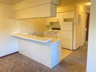 220 Shadyside Drive Apartments 715 Clinton River Dr Apt 6a, Mount