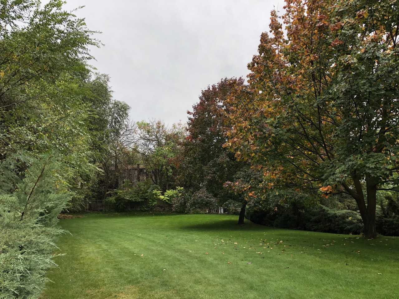 Lombardy Park Apartments 1311 1310, 1311, 1312, 1314 Lawson Avenue