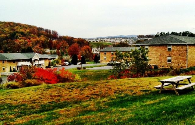 709 Hillmont Cir, Harrisonburg, VA 22801 1 Bedroom Apartment for 650/month Zumper