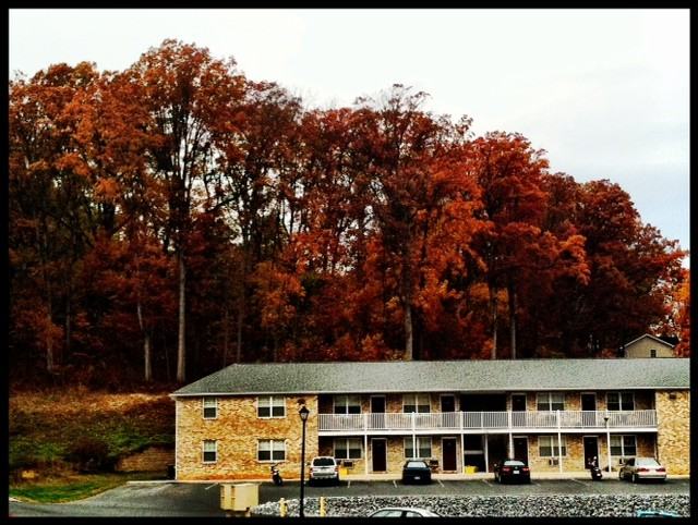 709 Hillmont Cir, Harrisonburg, VA 22801 1 Bedroom Apartment for 650/month Zumper