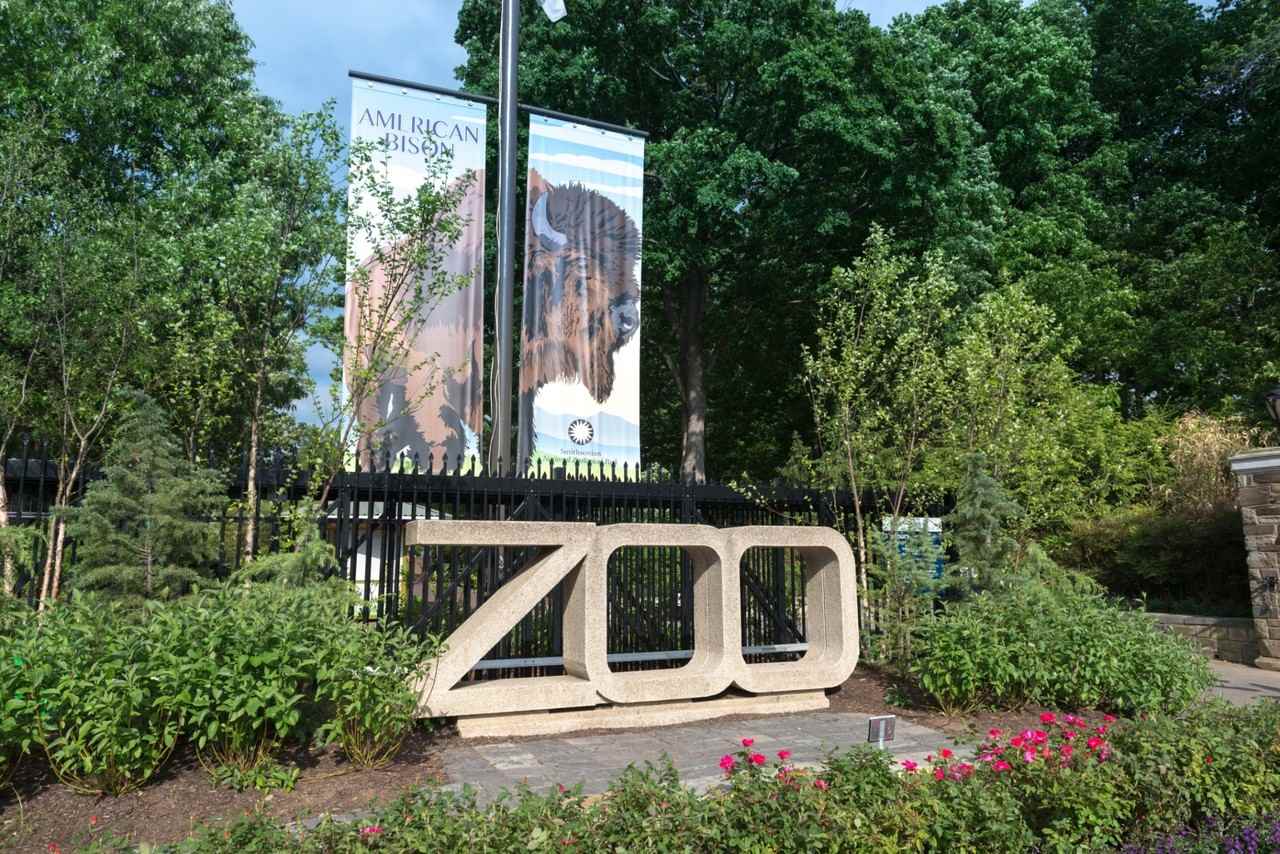 Quebec House Apartments 2801 Quebec St NW, Washington, DC 20008 Zumper