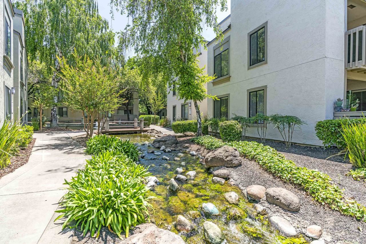 Park Lake at Walnut Creek Apartments 100 Park Lake Cir, Walnut Creek, CA 94598 Zumper