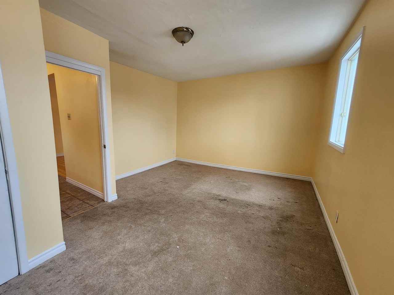 197 Louisa Street 1 Apartments 197 Louisa St W, Ottawa, ON K1R 6Y9