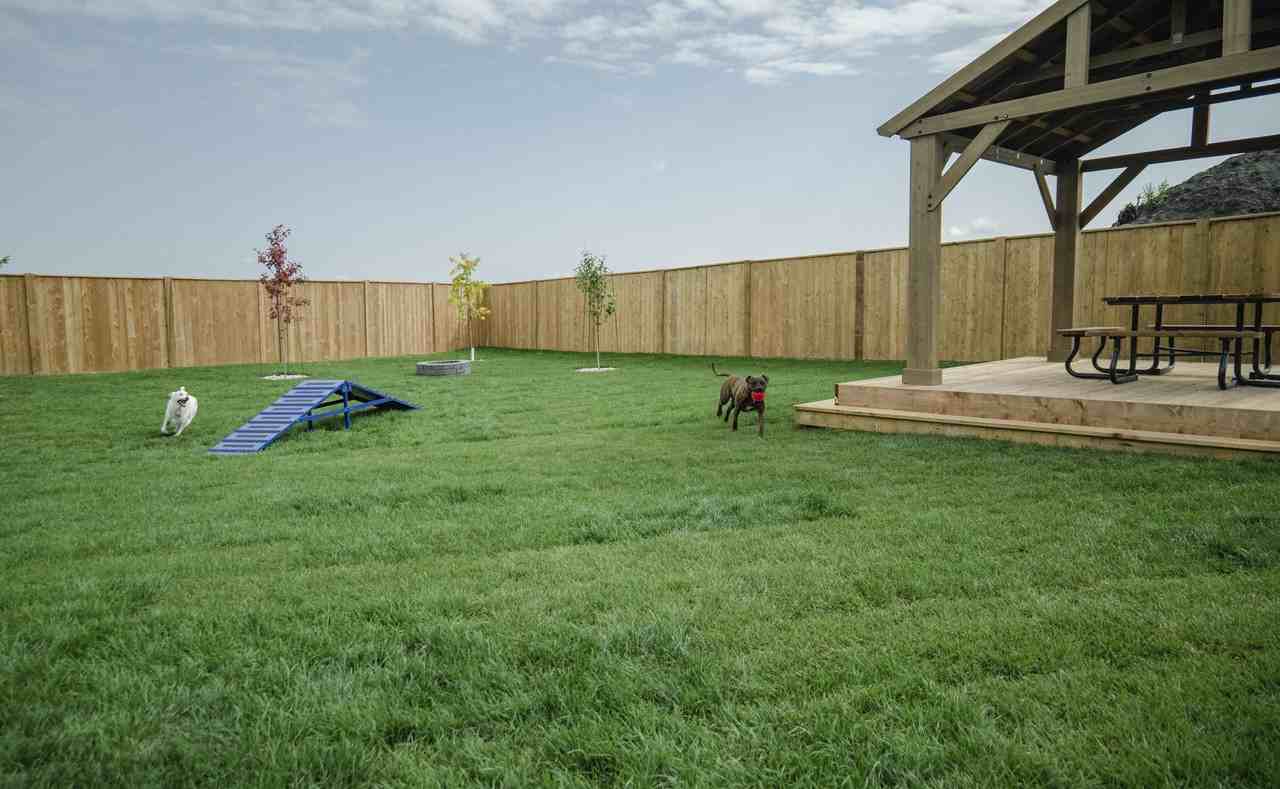 277 Sand Piper Trail N Apartments in Landmark, MB R0A 0X0 Zumper