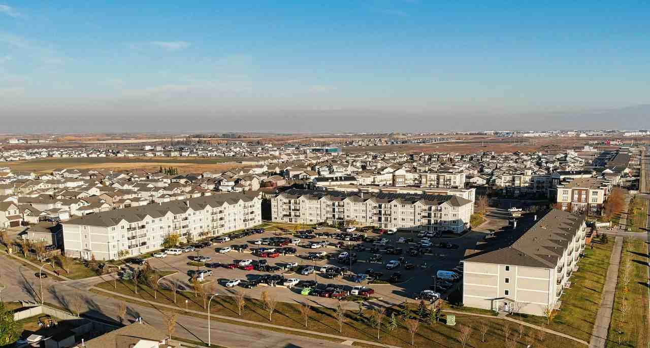 Pet Friendly Apartments for Rent in Grande Prairie, AB Search for