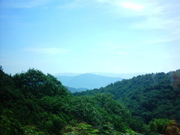 Covered Bridges in the Glades Apartments 849 Glades Rd, Gatlinburg