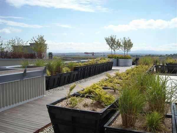 Altamira Apartments 4540 42nd Ave SW, Seattle, WA 98116 Zumper