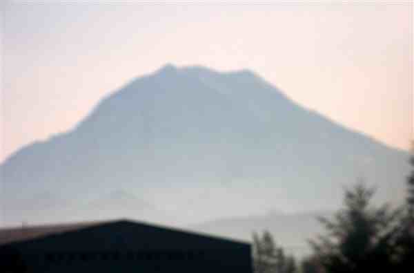 Forest Park Apartments 10020 167th St Ct E, South Hill, WA 98375 Zumper