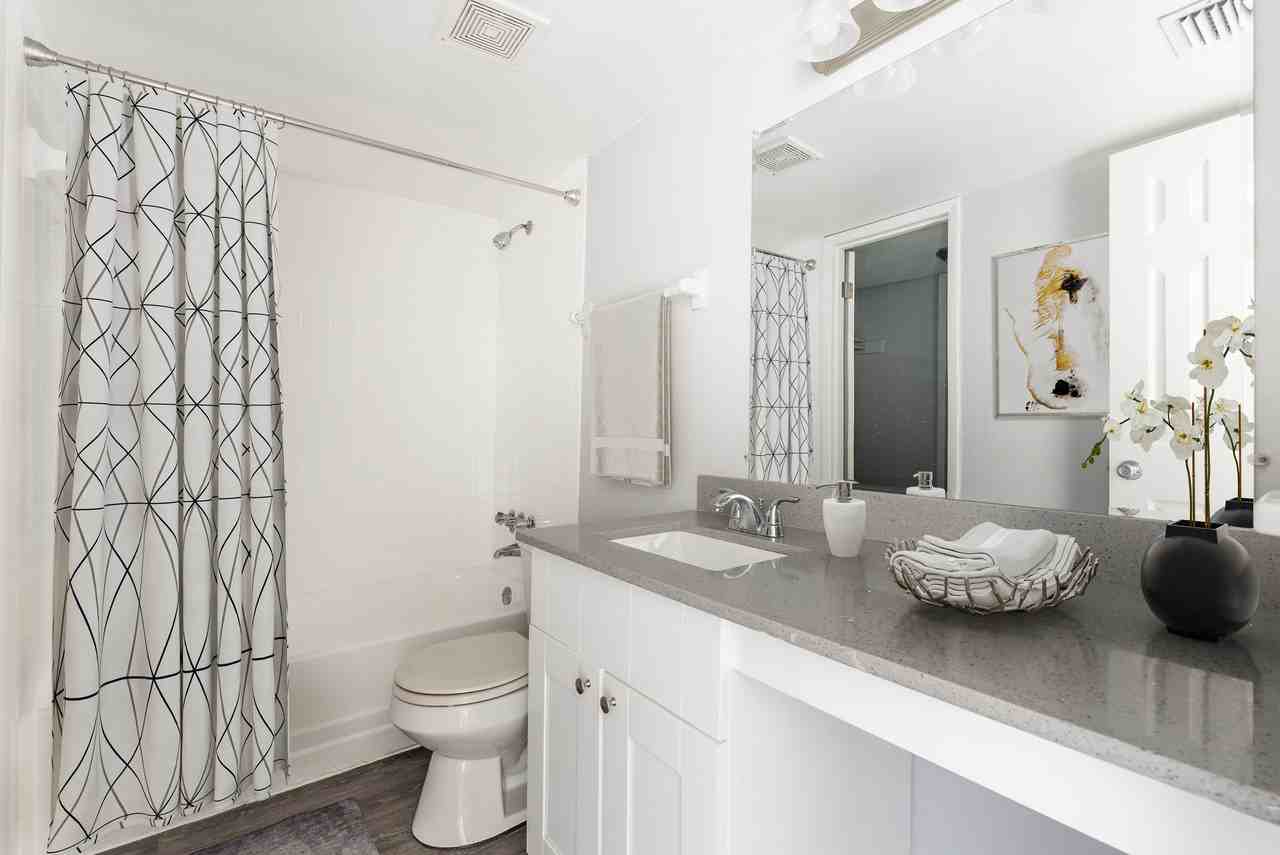 River View Apartments 5659 Del Prado Dr, Tampa, FL 33617 Zumper