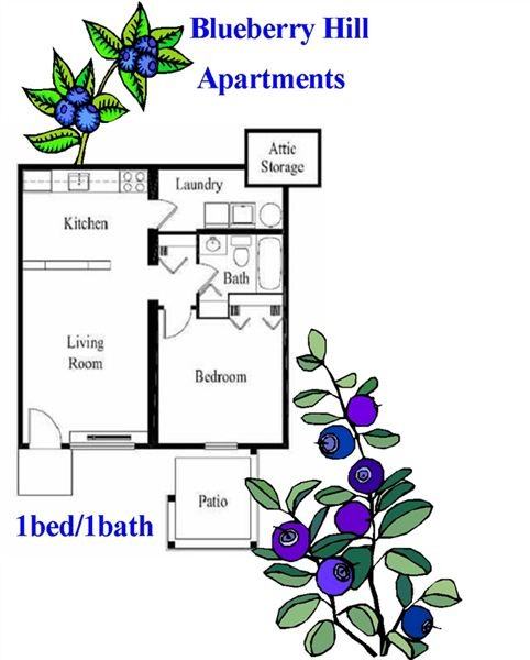 Blueberry Hill Apartments 33230 Ryan Dr Ofc, Silver Lake, FL 34788