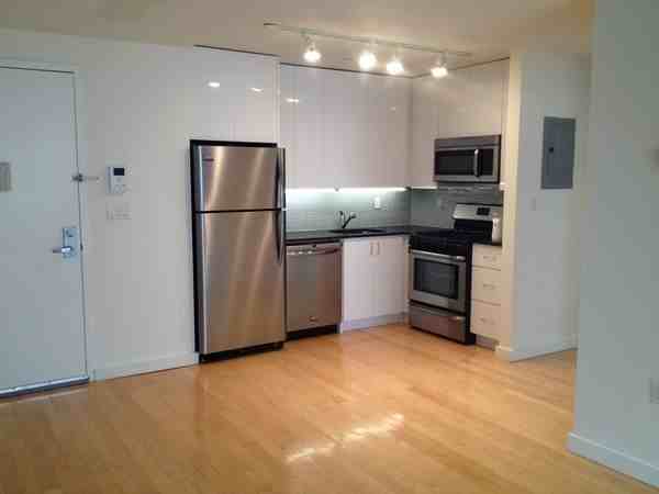 Bed Stuy, Brooklyn Apartments Spencer Street & Bedford ave, Brooklyn