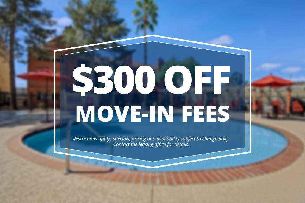 Motif Apartments 2529 W Cactus Rd, Phoenix, AZ 85029 Zumper